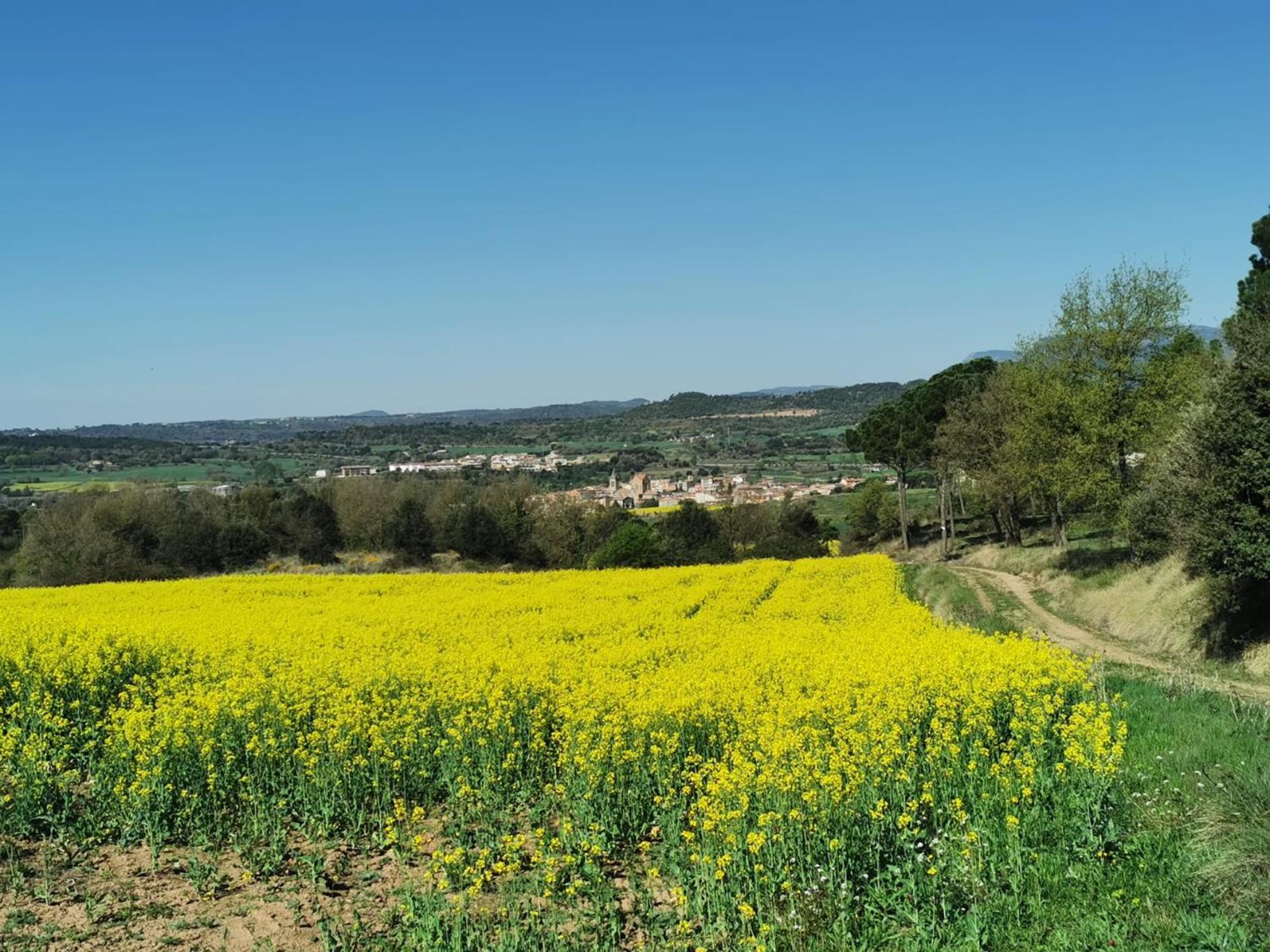 Ca L'Herminia Gironella Buitenkant foto